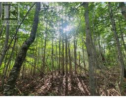 Lot Highway 215, South Maitland, NS B0N1T0 Photo 6