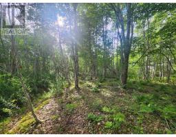 Lot Highway 215, South Maitland, NS B0N1T0 Photo 19