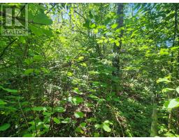 Lot Highway 215, South Maitland, NS B0N1T0 Photo 18