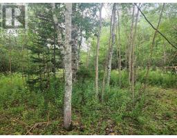 Lot Highway 215, South Maitland, NS B0N1T0 Photo 7