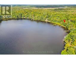 4 - 1044 Camel Lake Ext Road, Muskoka Lakes, ON P1L1X6 Photo 34