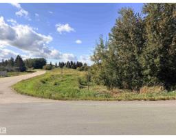 #458 20212 Twp Road 510, Rural Strathcona County, AB T8G1E8 Photo 46
