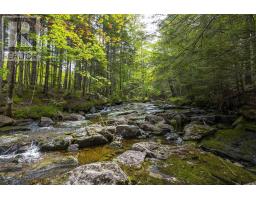 984 Youngs Mountain Road, Youngs Cove, NS B0S1L0 Photo 26