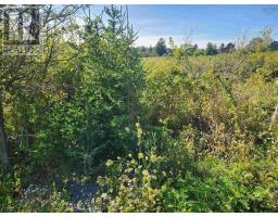 22 Acre 215 Highway, Maitland, NS B0N1T0 Photo 7