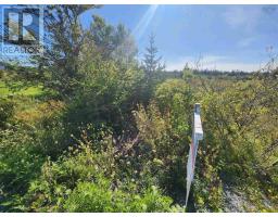 22 Acre 215 Highway, Maitland, NS B0N1T0 Photo 6