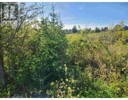 22 Acre 215 Highway, Maitland, NS B0N1T0 Photo 8