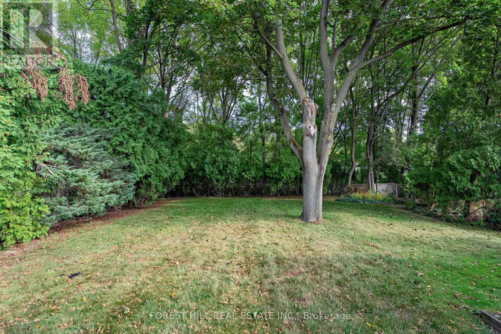 56 LITTLE JOHN ROAD - 33