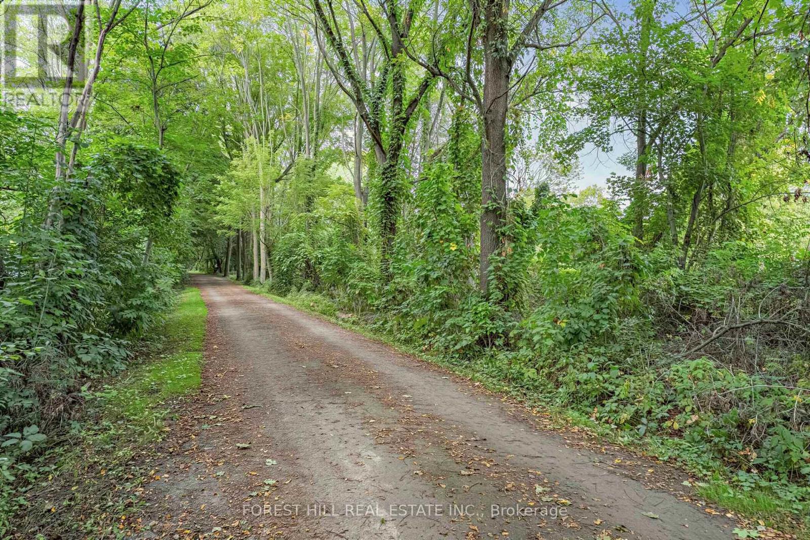 56 LITTLE JOHN ROAD - 34
