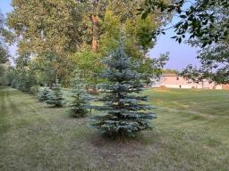 50 Cottonwood Crescent, Shilo, MB R0K2A0 Photo 36