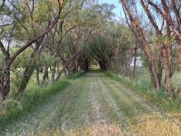 50 Cottonwood Crescent, Shilo, MB R0K2A0 Photo 38