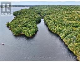 41 Rustic Lane, Rideau Lakes, ON K0G1X0 Photo 30