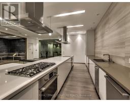 230 - 1030 King Street W, Toronto, ON M6K0B4 Photo 41