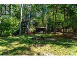 121 Lefaive Road, Tiny, ON L0L2J0 Photo 37
