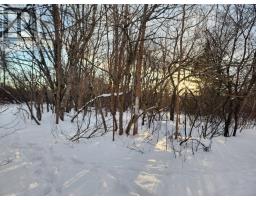 8 Acres Cedar Road, Church Hill, Maitland, NS B0N1T0 Photo 10