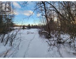 8 Acres Cedar Road, Church Hill, Maitland, NS B0N1T0 Photo 11