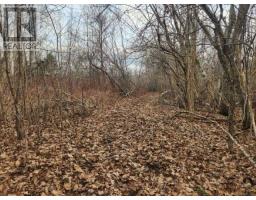 8 Acres Cedar Road, Church Hill, Maitland, NS B0N1T0 Photo 7
