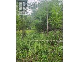 8 Acres Cedar Road, Church Hill, Maitland, NS B0N1T0 Photo 6