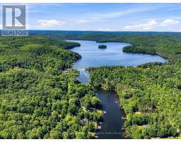 1093 Grace River Road, Highlands East, ON K0L3C0 Photo 13