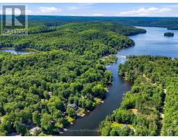 1093 Grace River Road, Highlands East, ON K0L3C0 Photo 14