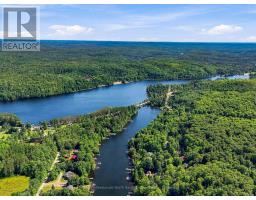 1093 Grace River Road, Highlands East, ON K0L3C0 Photo 15