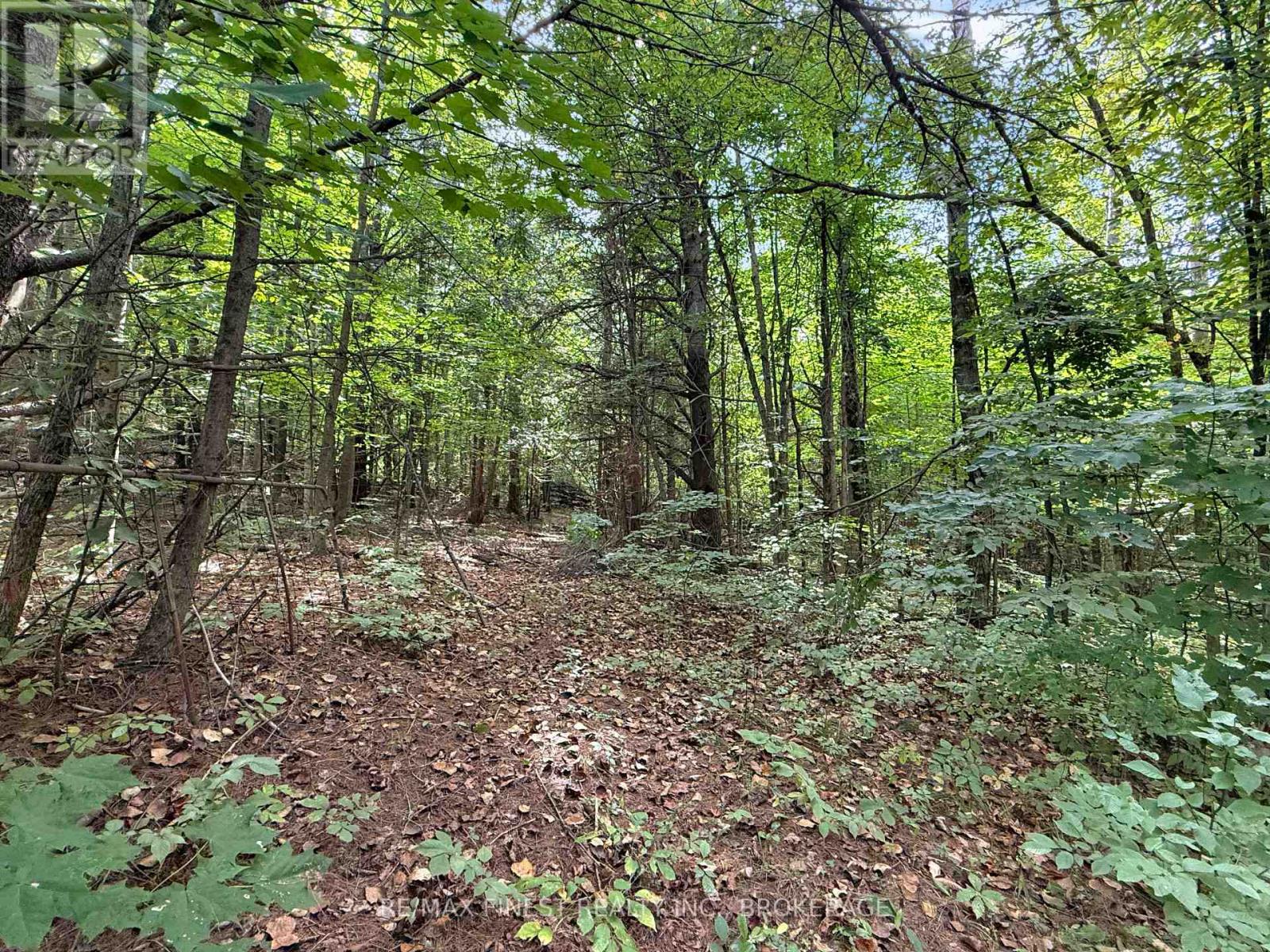4900 County Rd 4, Stone Mills (Stone Mills), Ontario, K0K1Z0, Stone Mills (Stone Mills), Ontario — photo 1 of 5