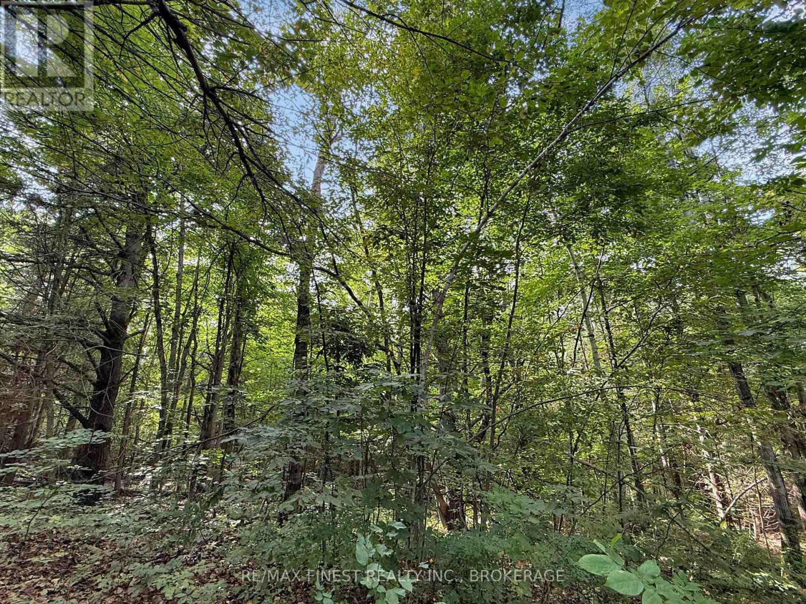 4900 County Rd 4, Stone Mills (Stone Mills), Ontario, K0K1Z0, Stone Mills (Stone Mills), Ontario — photo 5 of 5