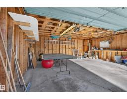 3918 103b St Nw, Edmonton, AB T6J2X9 Photo 72