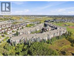 268, 223 Tuscany Springs Boulevard Nw, Calgary, AB T3L2M2 Photo 39