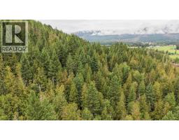 687 Mabel Lake Road, Lumby, BC V0E2G5 Photo 28