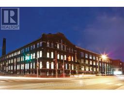 101a - 219 Dufferin Street, Toronto, ON M6K1J1 Photo 7