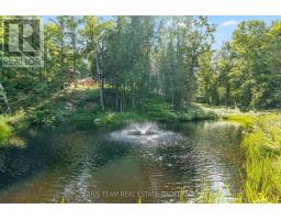 1020 Haven Road, Bracebridge, ON P1L1X1 Photo 41