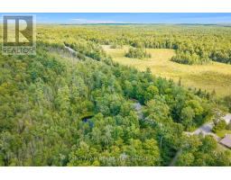 1020 Haven Road, Bracebridge, ON P1L1X1 Photo 44