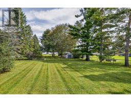 16 Lawrence Street S, Kawartha Lakes, ON K9J6X3 Photo 35