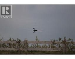 31 Montenaro Bay, Cochrane Lake, AB T4C0A5 Photo 46