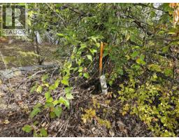625 Casimir Avenue, Burns Lake, BC V0J1E0 Photo 10