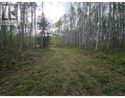 5600 Rifle Range Road, Chetwynd, BC V0C1J0 Photo 17