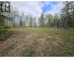 5600 Rifle Range Road, Chetwynd, BC V0C1J0 Photo 10