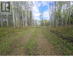 5600 Rifle Range Road, Chetwynd, BC V0C1J0 Photo 9