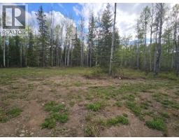 5600 Rifle Range Road, Chetwynd, BC V0C1J0 Photo 13