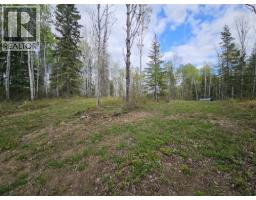 5600 Rifle Range Road, Chetwynd, BC V0C1J0 Photo 16