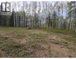 5600 Rifle Range Road, Chetwynd, BC V0C1J0 Photo 18