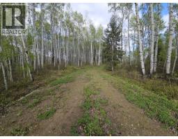 5600 Rifle Range Road, Chetwynd, BC V0C1J0 Photo 8