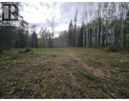 5600 Rifle Range Road, Chetwynd, BC V0C1J0 Photo 15