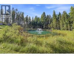 312 Westwood Close, Rural Clearwater County, AB T4T2A4 Photo 43