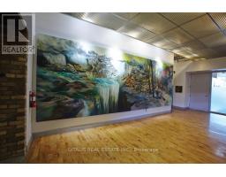 2a - 219 Dufferin Street, Toronto, ON M6K1Y9 Photo 19