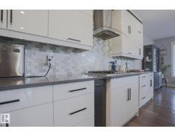 Bonus Room - 12801 203 St Nw, Edmonton, AB T5S0E7 Photo 9