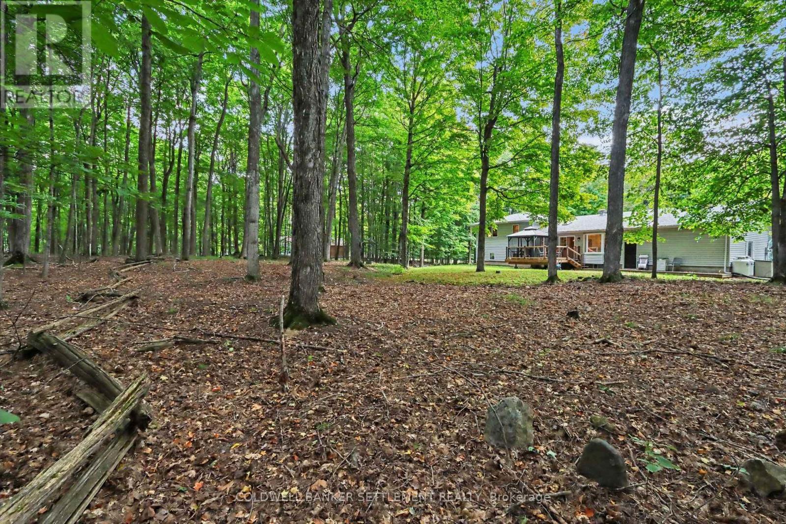 142 TRILLIUM DRIVE - Image 38