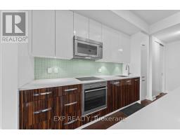 406 - 111 Champagne Avenue S, Ottawa, ON K1S5V3 Photo 8