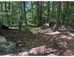 167 Tall Pines Drive Nw, Tiny, ON L9M0H4 Photo 43