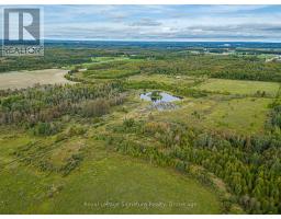 307027 Centre A Line, Grey Highlands, ON N0C1L0 Photo 39
